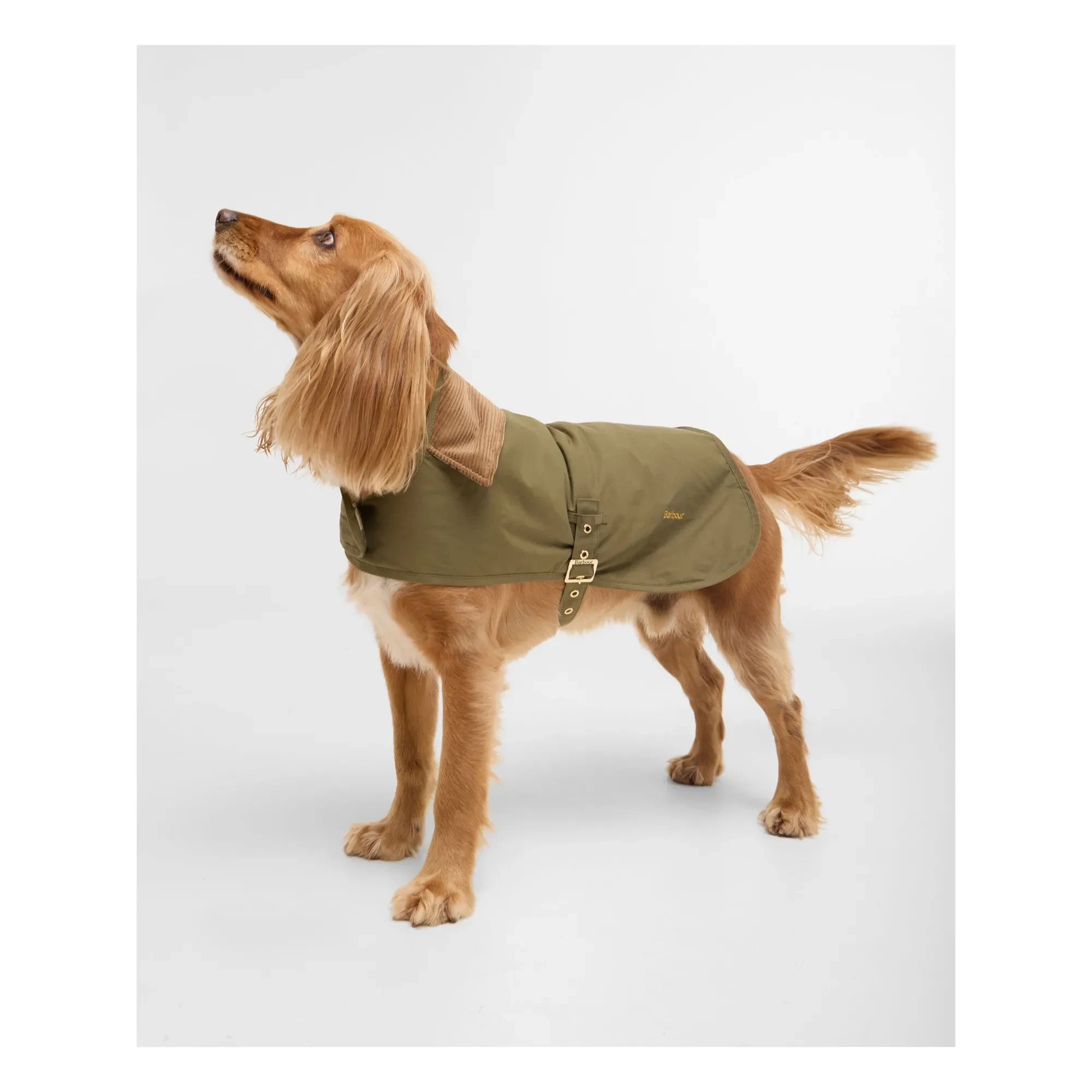 Barbour - Dog Carrier Coat | Khaki