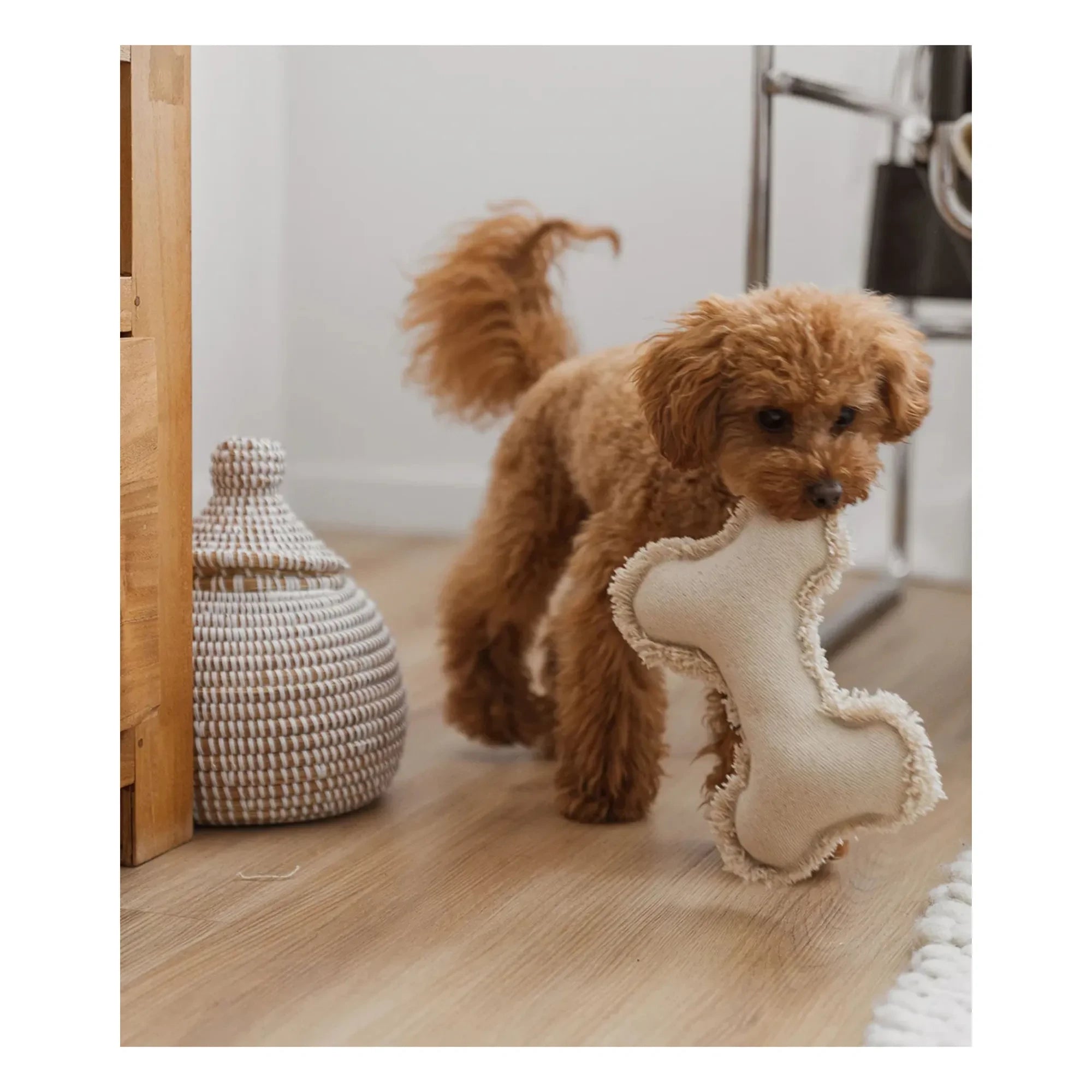 Cafide - Bone Dog Toy | Off-White