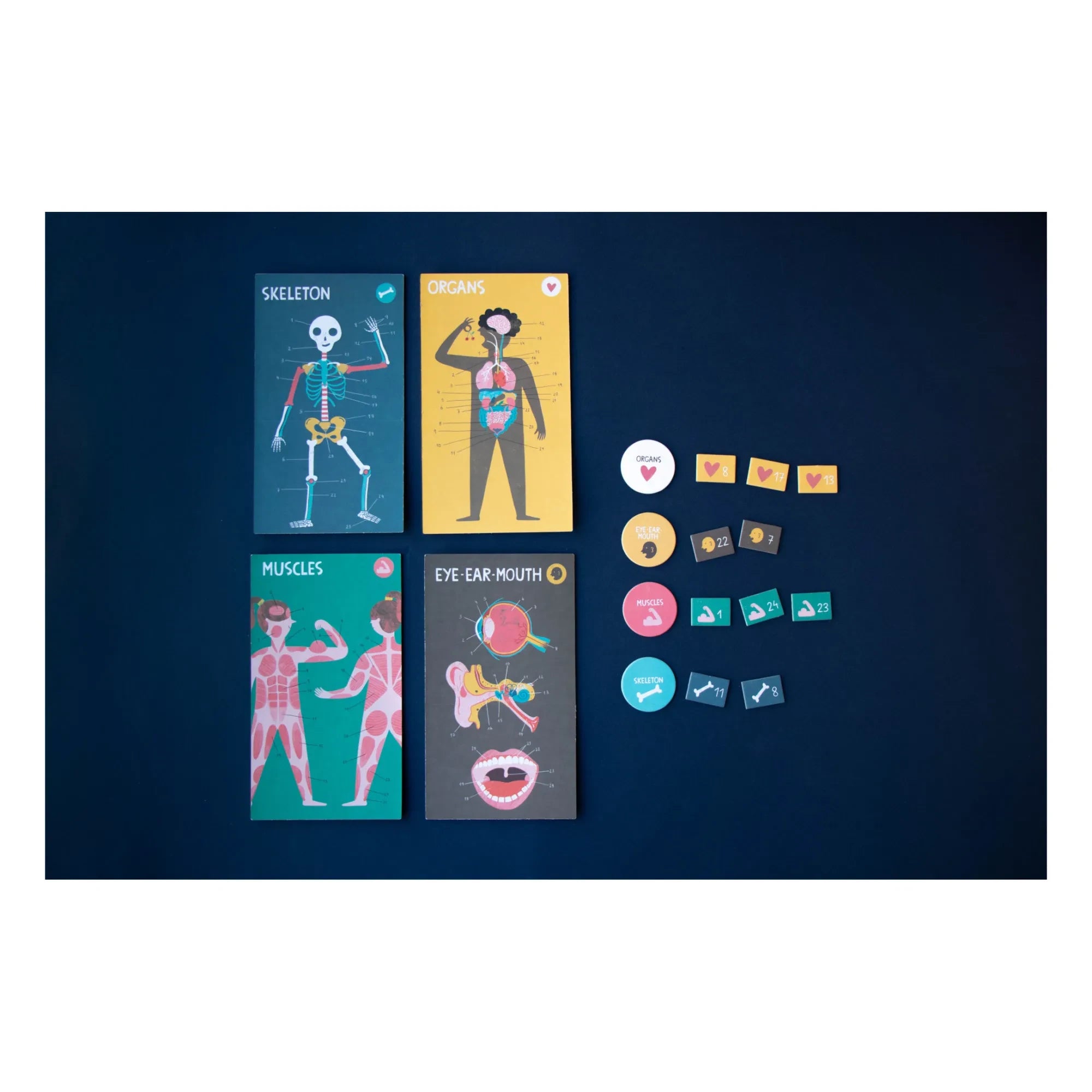Londji - Learning Game Inside Me