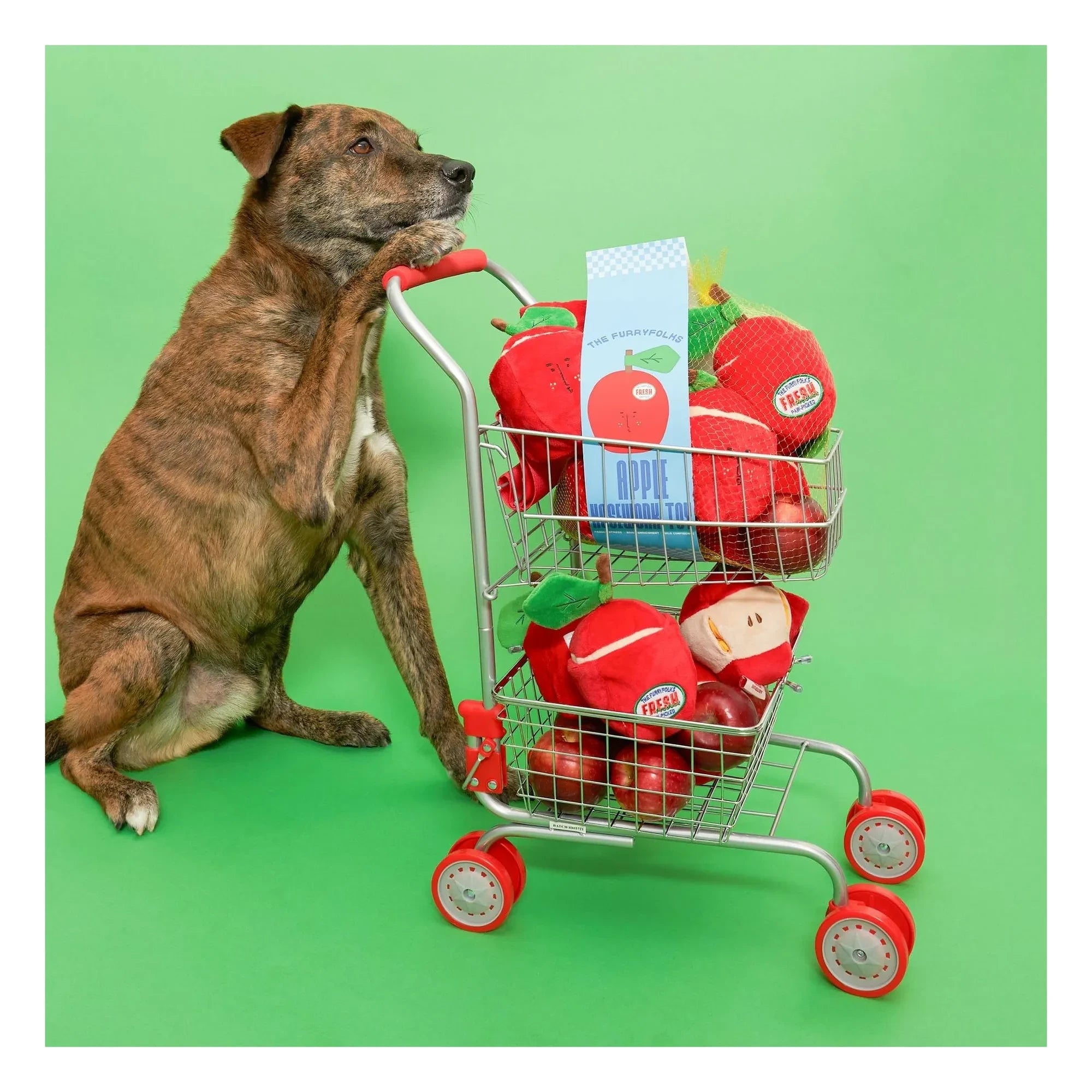 The Furry Folks - Apple Scratching Toy | Red