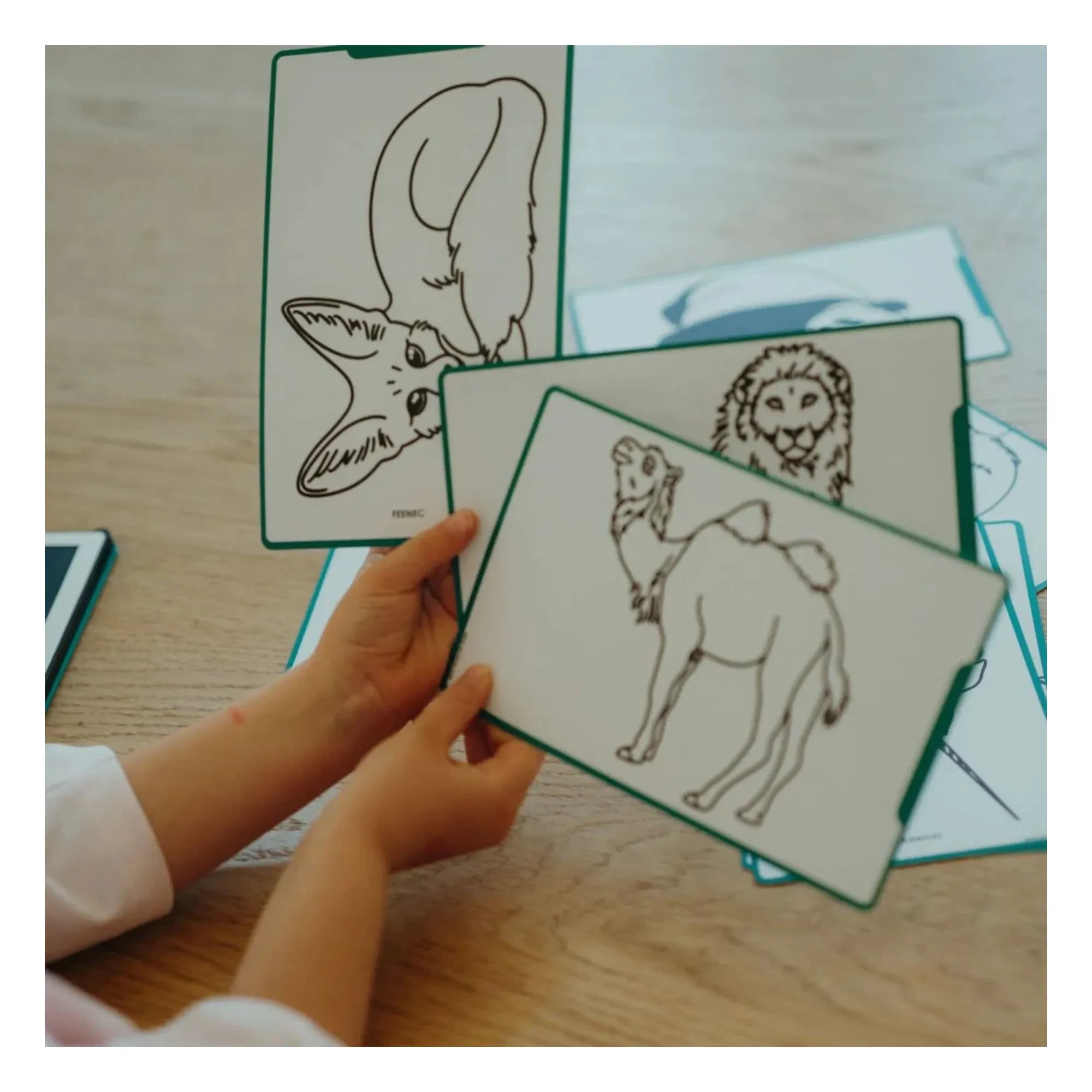 Kidywolf - Kidydraw Mini Drawing Board | Dark Green