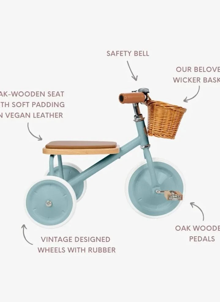 Banwood - Metal and Wooden Tricycle | Teal Blue