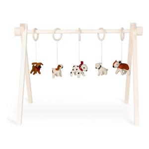 Quax - Dog Collar Toy Set