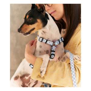 Cafide - Juno Dog Run | Light Blue