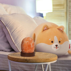 Legami - Corgi Pillow and Himalayan Salt Lamp Set