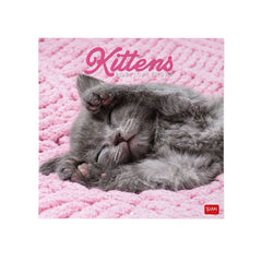Legami - Kittens 2027 Wall Calendar - 30 x 29 cm