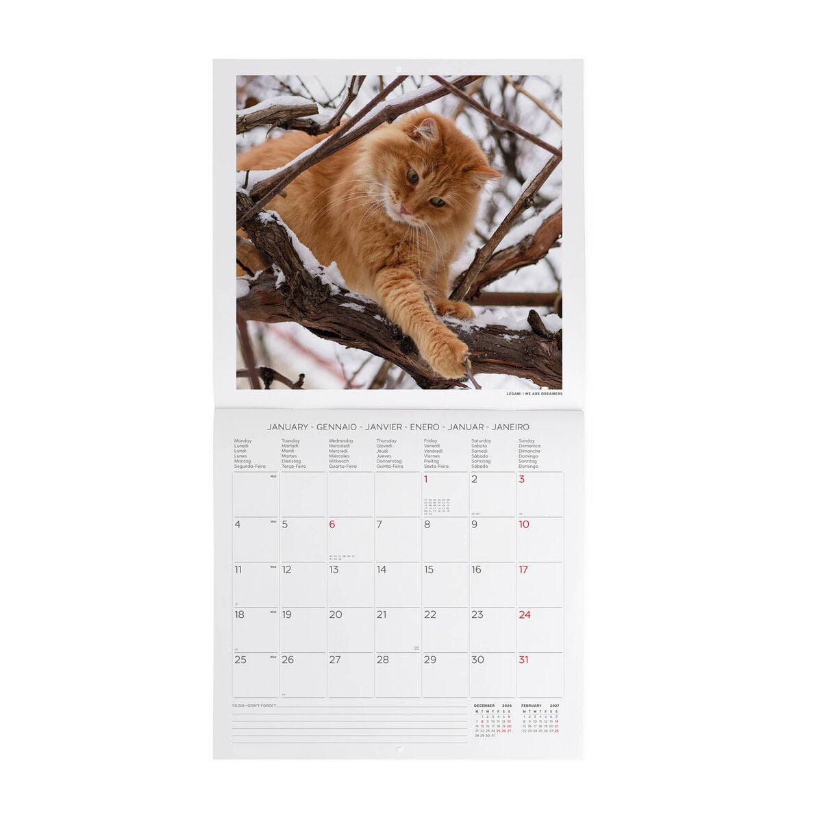 Legami - Cats 2027 Wall Takvim - 30 x 29 cm