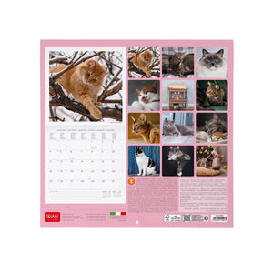 Legami - Cats 2027 Wall Takvim - 30 x 29 cm