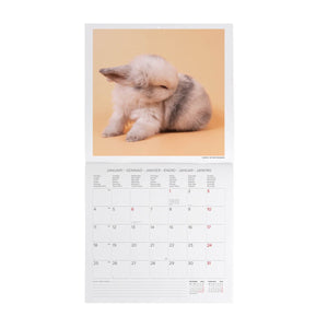 Legami - Honey Rabbit 2027 Wall Calendar - 30 x 29 cm