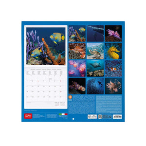 Legami - Under Sea 2027 Wall Takvim - 30 x 29 cm