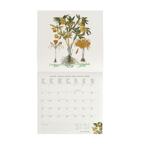 Legami - Herbarium 2027 Wall Calendar - 30 x 29 cm