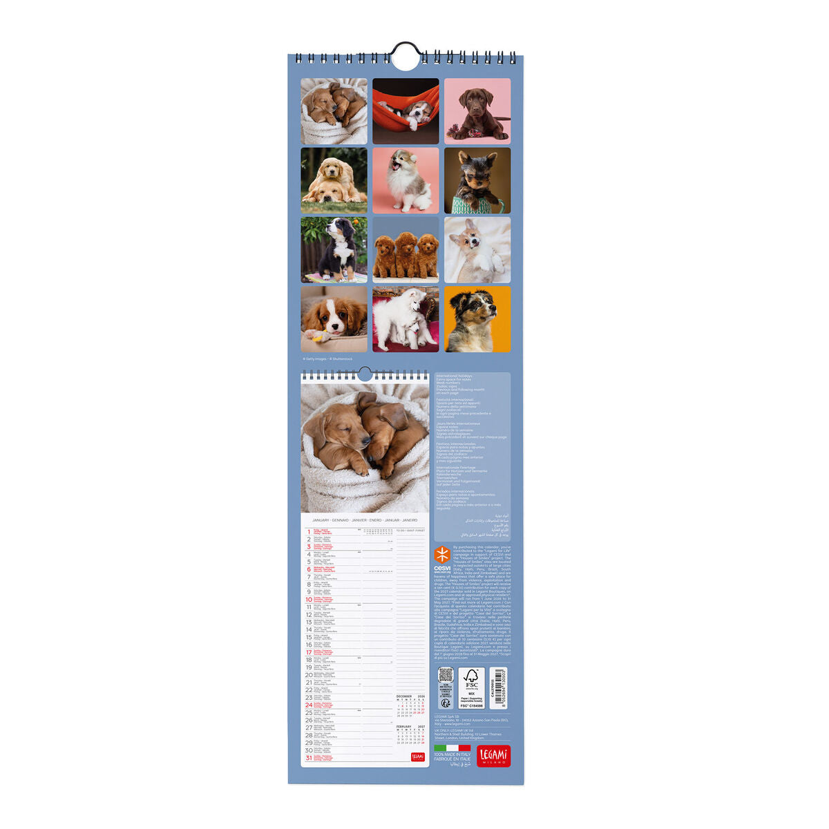Legami - Puppies 2027 Wall Takvim - 16 x 49 cm