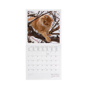 Legami - Cats 2027 Wall Calendar - 18 x 18 cm