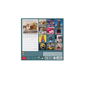 Legami - Supawstar 2027 Wall Takvim - 18 x 18 cm