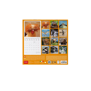 Legami - Take It Easy 2027 Wall Takvim - 18 x 18 cm