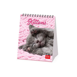 Legami - Kittens 2027 Desk Calendar - 12 x 14.5 cm