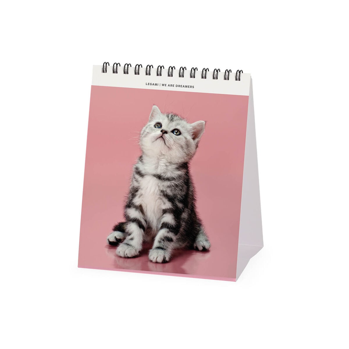Legami - Kittens 2027 Desk Takvim - 12 x 14,5 cm