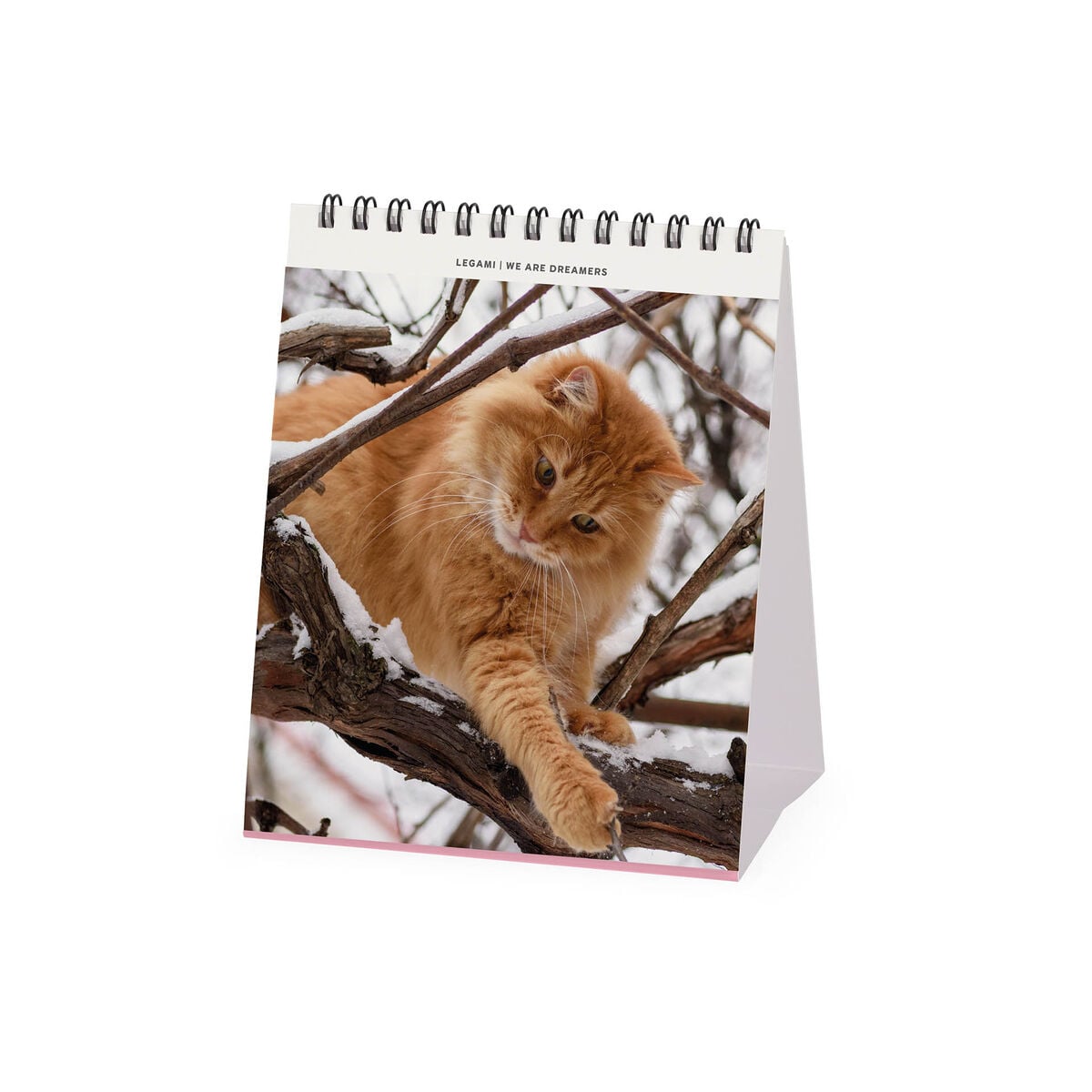Legami - Cats 2027 Desk Takvim - 12 x 14,5 cm