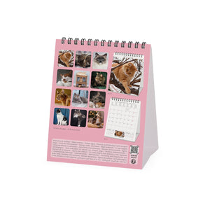 Legami - Cats 2027 Desk Takvim - 12 x 14,5 cm