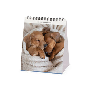 Legami - Puppies 2027 Desk Calendar - 12 x 14.5 cm