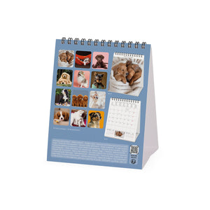 Legami - Puppies 2027 Desk Calendar - 12 x 14.5 cm