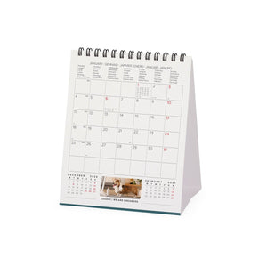 Legami - Supawstar 2027 Desk Calendar - 12 x 14.5 cm