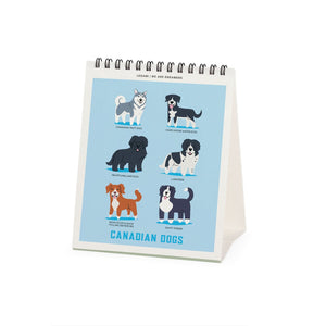 Legami - Dogs World 2027 Desk Calendar - 12 x 14.5 cm