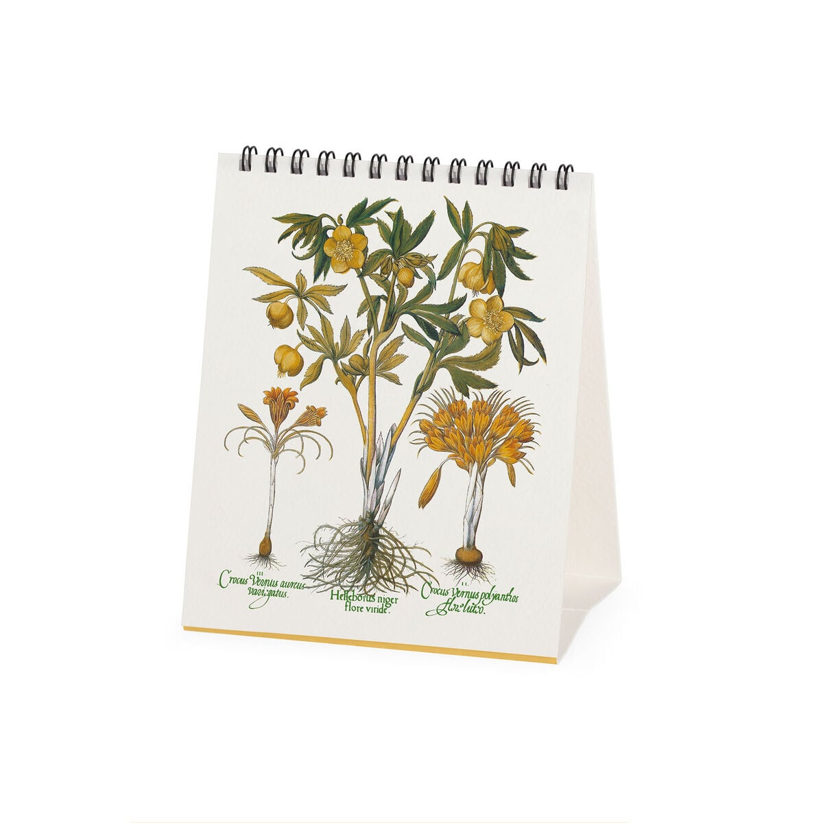 Legami - Herbarium 2027 Desk Takvim - 12 x 14,5 cm