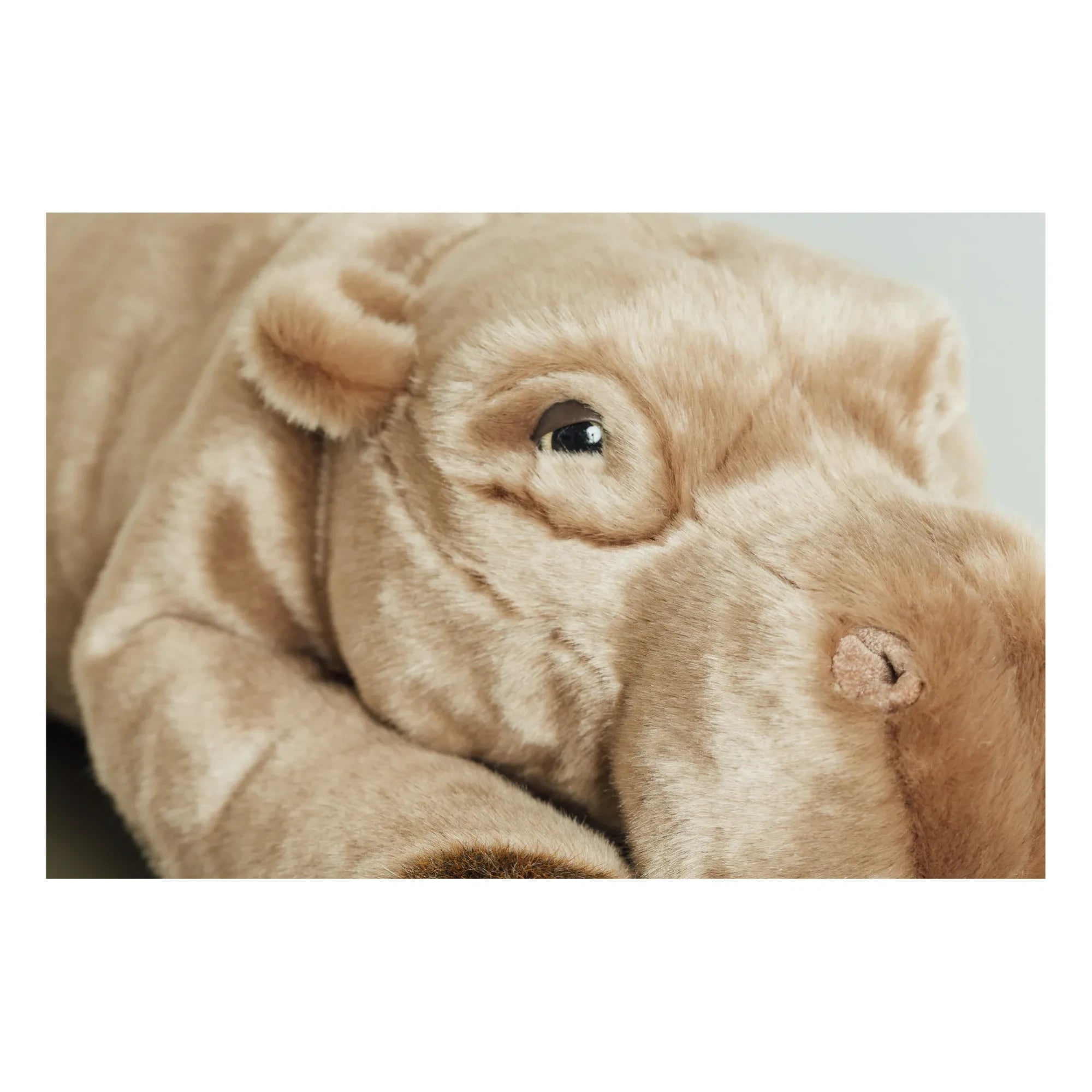 La Pelucherie - My Hippo Edgar Plush Toy | Dark Gray