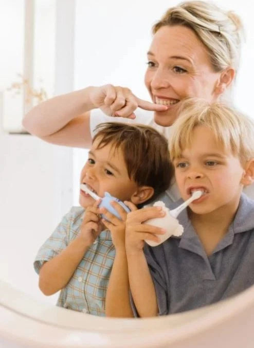 The Zoofamily - Super Sonic Toothbrush - Koala