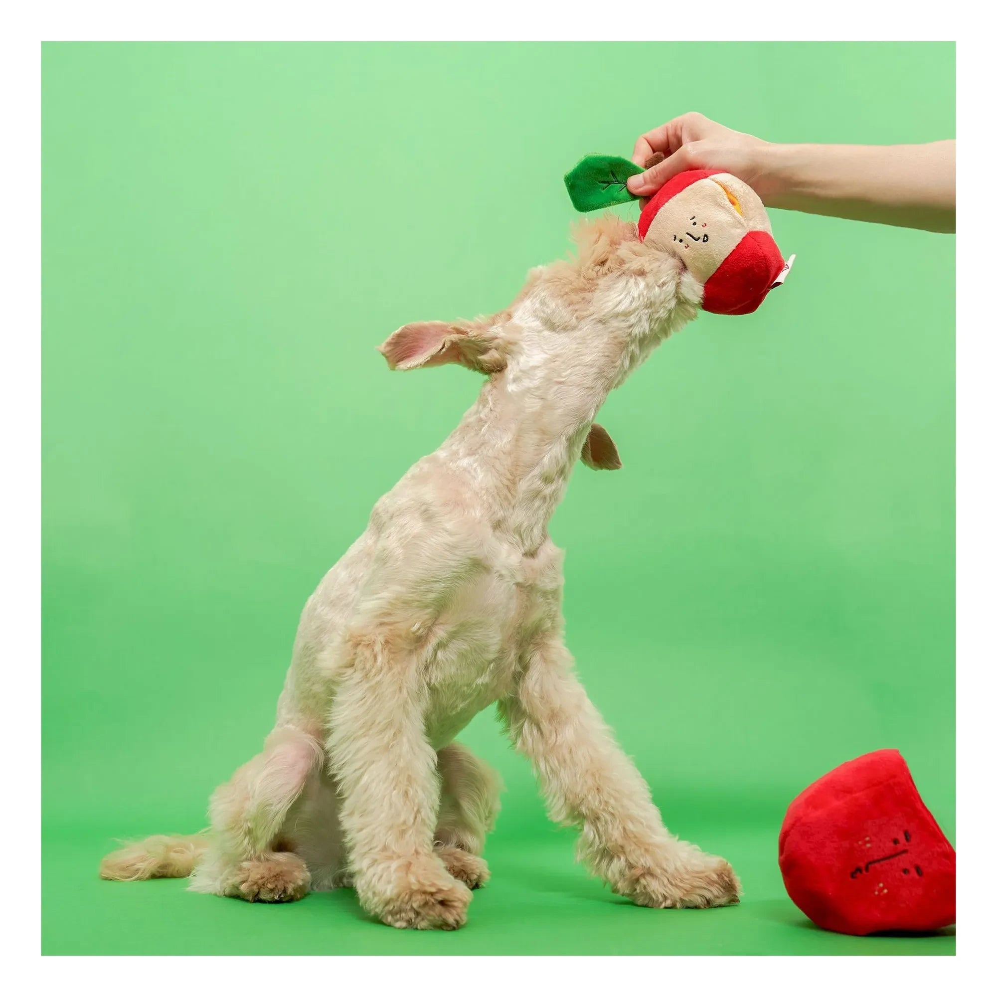 The Furry Folks - Apple Scratching Toy | Red