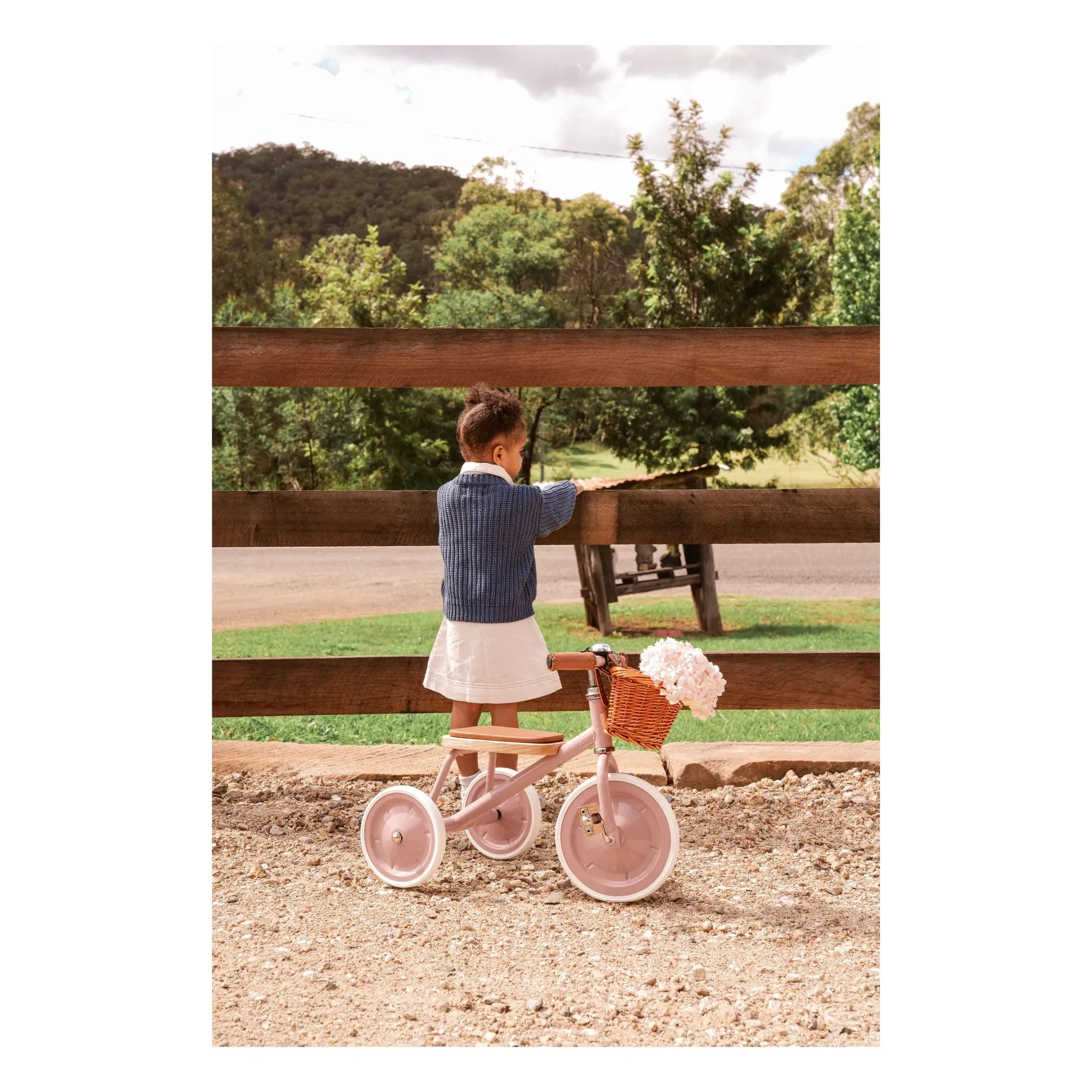 Banwood - Metal and Wood Tricycle | Dusty Pink