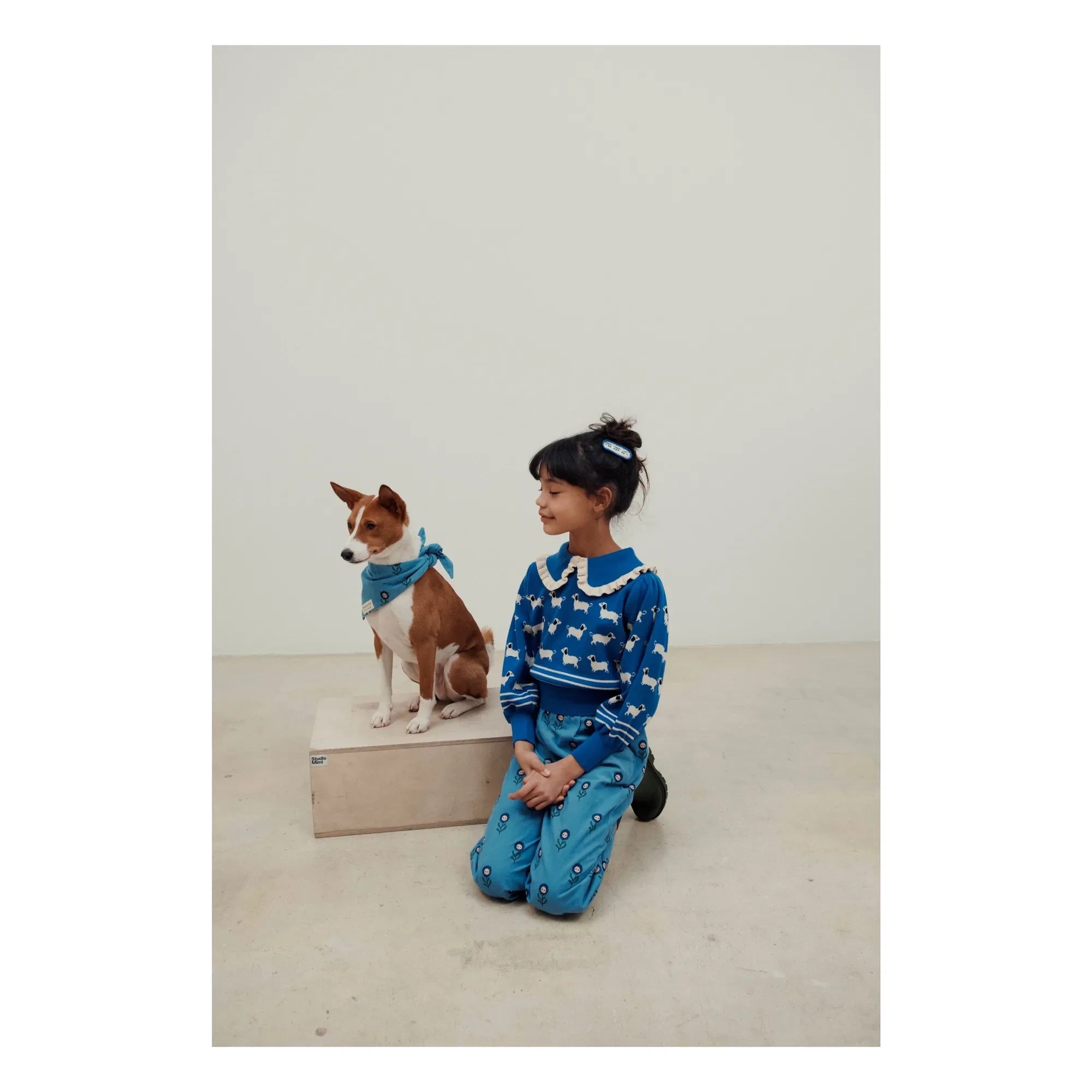Emile et Ida - Royal Blue Dog Sweater