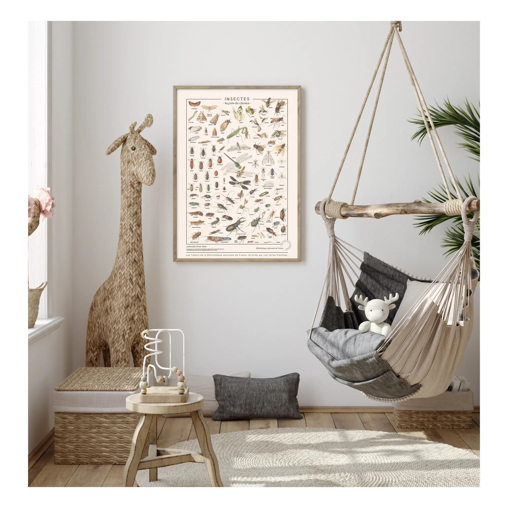 Les Jolies Planches - Insect Display Board