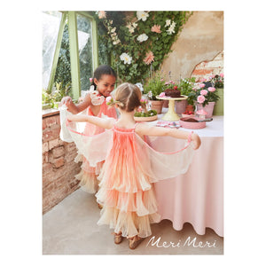 Meri Meri - Pleated Organza Fairy Dress and Magic Wand