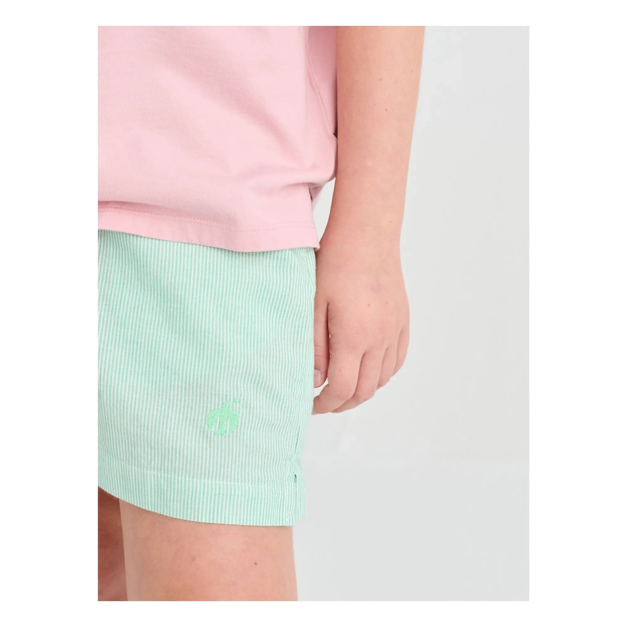 True Artist - Green Striped Short Shorts No.11