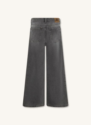 AO76 - Jean Zina Blake | Denim Grey