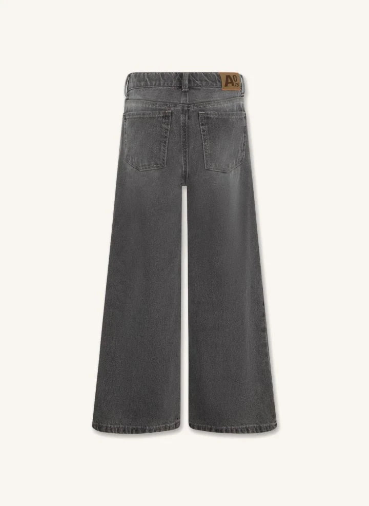 AO76 - Jean Zina Blake | Denim Grey