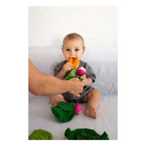 Oli & Carol - Teething Toy Cathy the Carrot