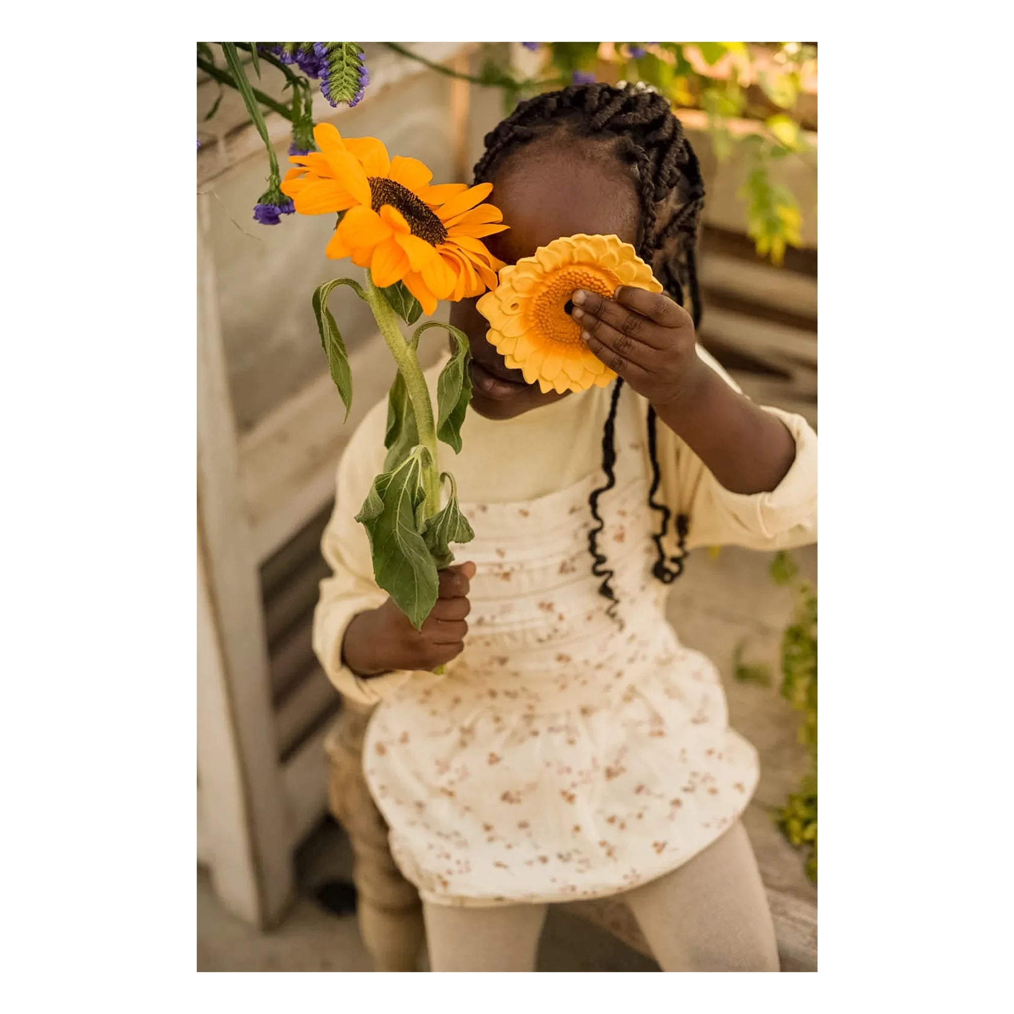 Oli & Carol - Sun the sunflower diş kaşıma halkası