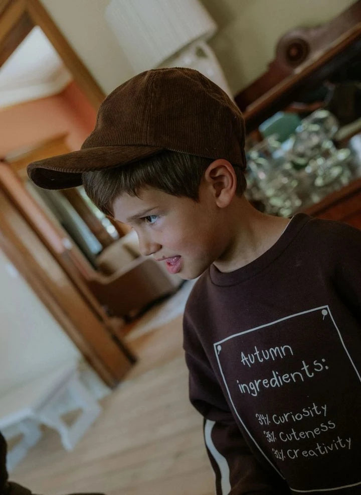 Fliink - Alvin Autumn Organic Cotton Sweatshirt | Brown