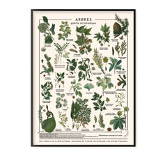 Les Jolies Planches - Ağaç panosu