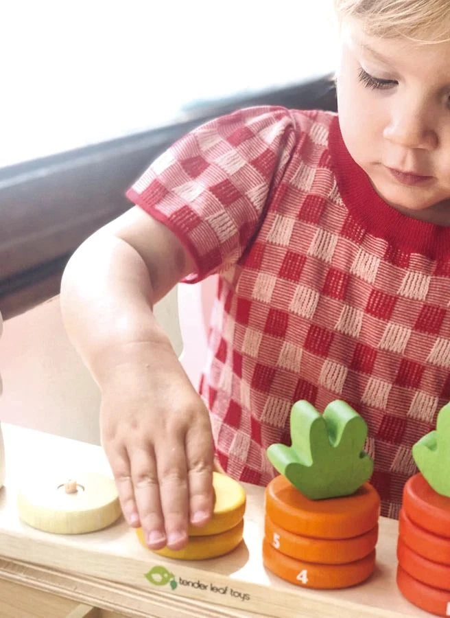 Tender Leaf Toys - Harf Sayma Oyuncağı