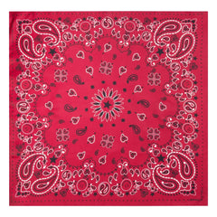 Call it by your name - Small Silk Bandana | Red