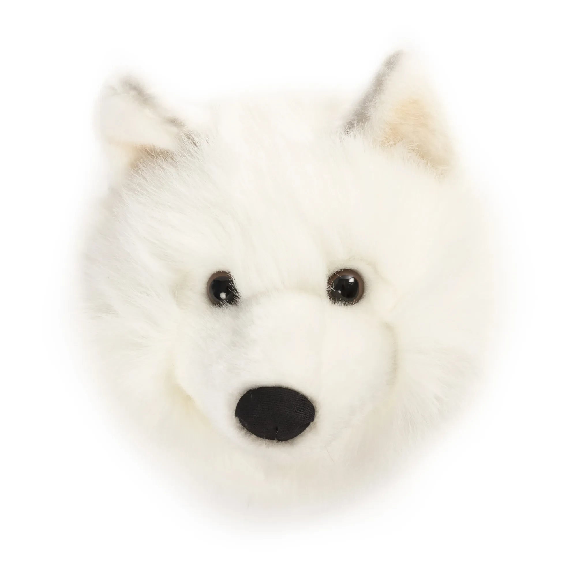 Wild & Soft - White Wolf Head Wall Hook