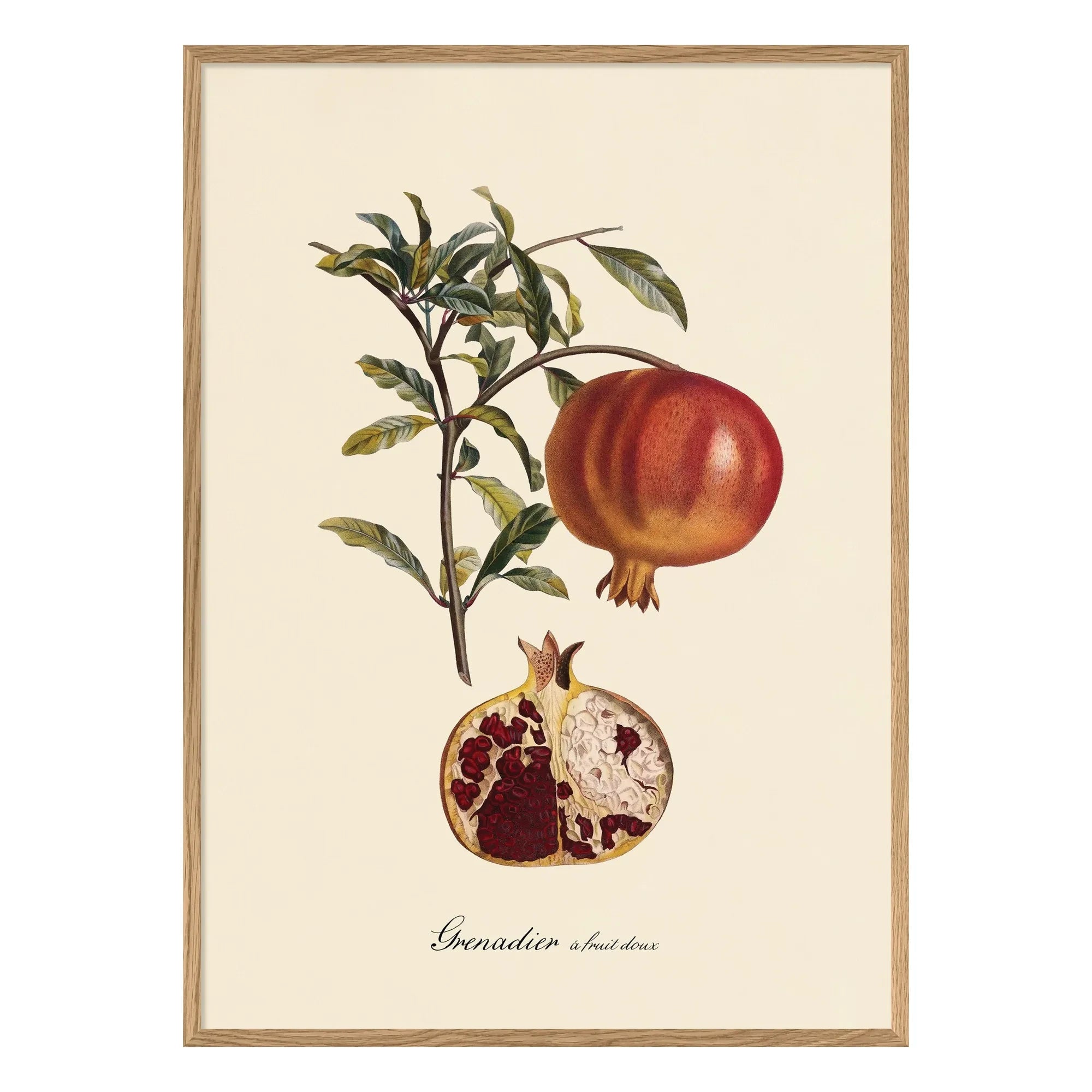 The Dybdahl Co. - Sweet Fruit Grenadier Poster
