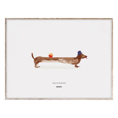 Mado - Doug the Dachshund Poster 40x30 cm