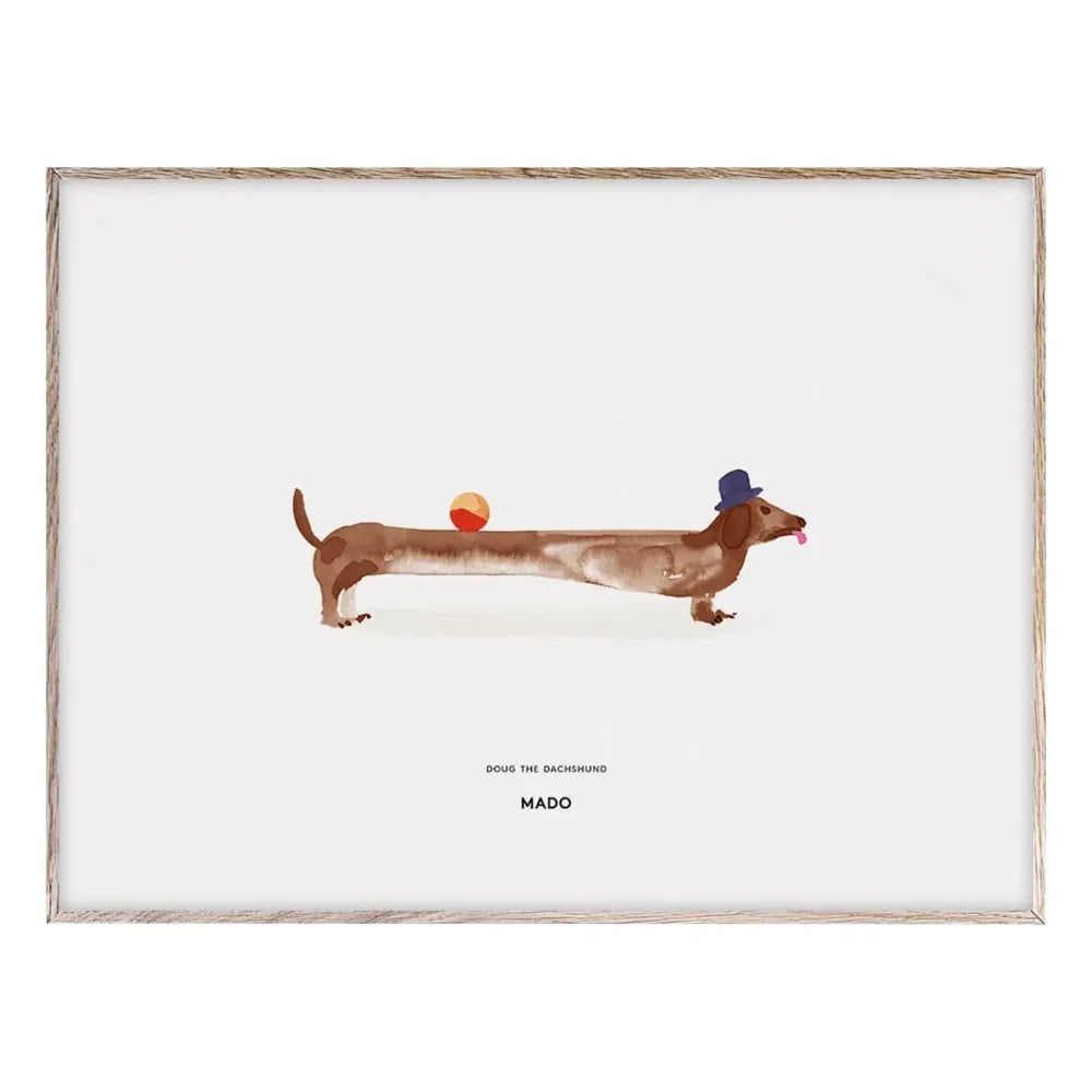 Mado - Doug the Dachshund Poster 40x30 cm