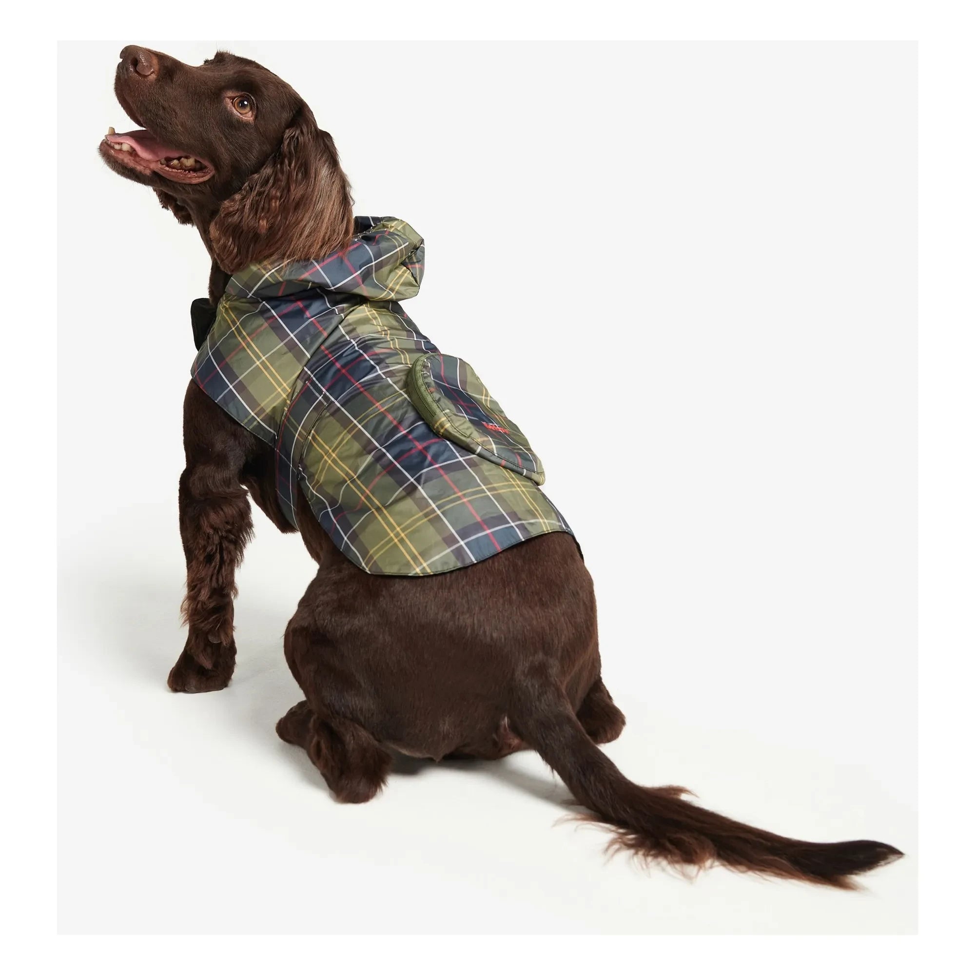 Barbour - Foldable Tartan Dog Coat | Blue