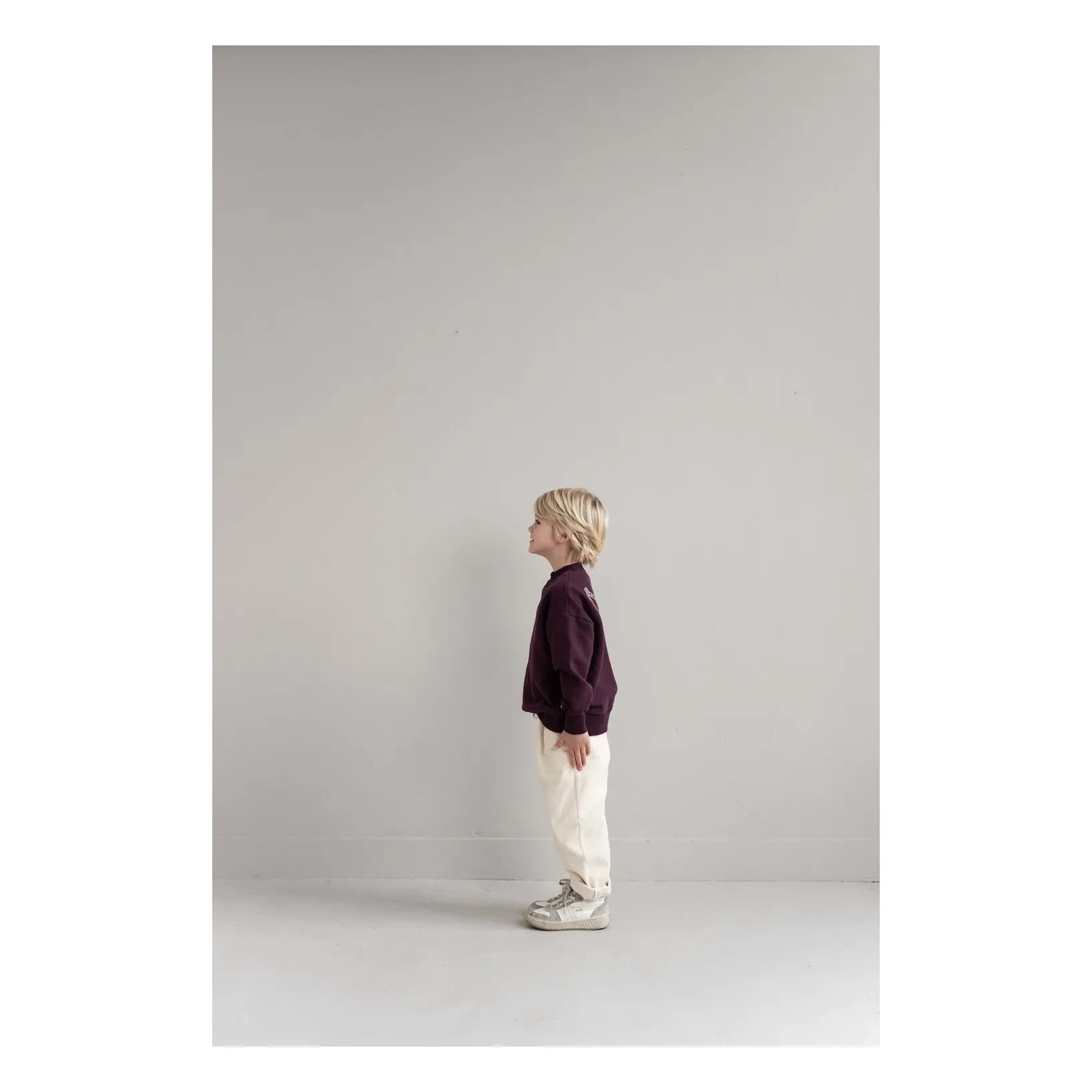 Jenest - JNST organik pamuk sweatshirt | Bordo